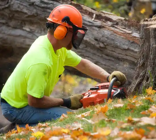 tree services Wilton